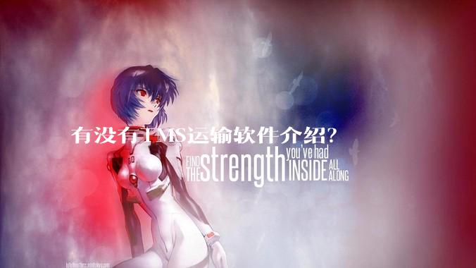 有没有TMS运输软件介绍？
