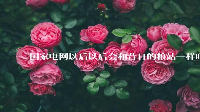 国家电网以后以后会和昔日的粮站一样吗？