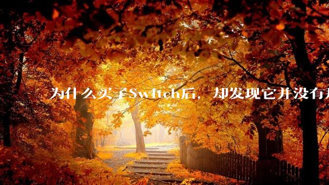 为什么买了Switch后，却发现它并没有那么好玩？