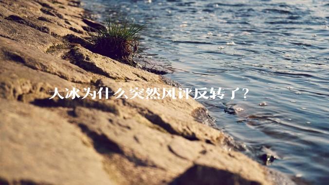 大冰为什么突然风评反转了？